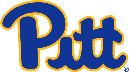 Pittsburgh Panthers 2019-Pres Primary Logo DIY iron on transfer (heat transfer)